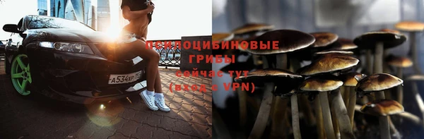 герыч Богородск