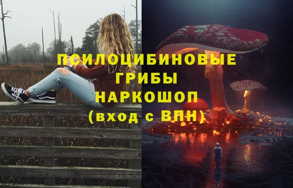 jwh Богородицк