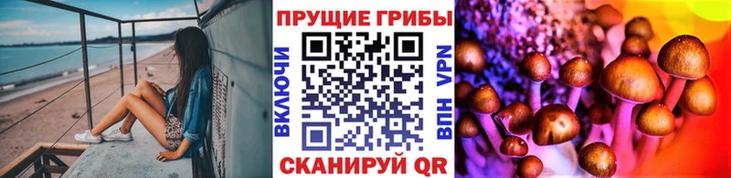 где продают Набережные Челны Галлюциногенные грибы прущие грибы